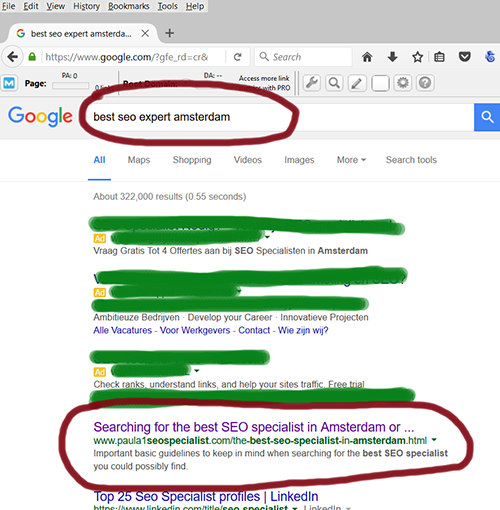 best SEO expert in Amsterdam - Paula1 SEO Specialist