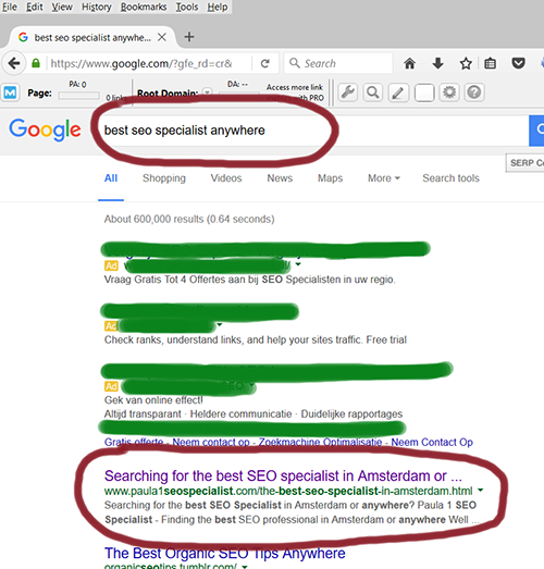 best SEO specialist anywhere - Paula1 SEO Specialist