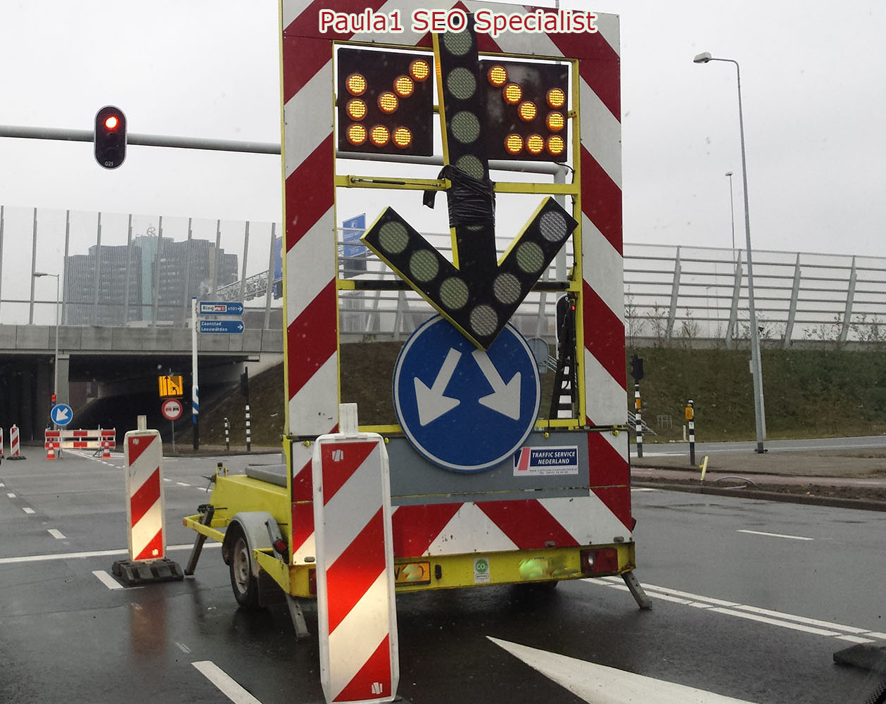 Finding the best SEO professional in Amsterdam or anywhere in the world - Paula 1 SEO Specialist